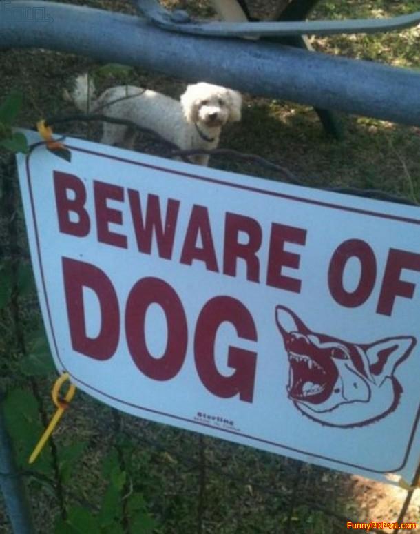 Beware  of  the  other  dog .