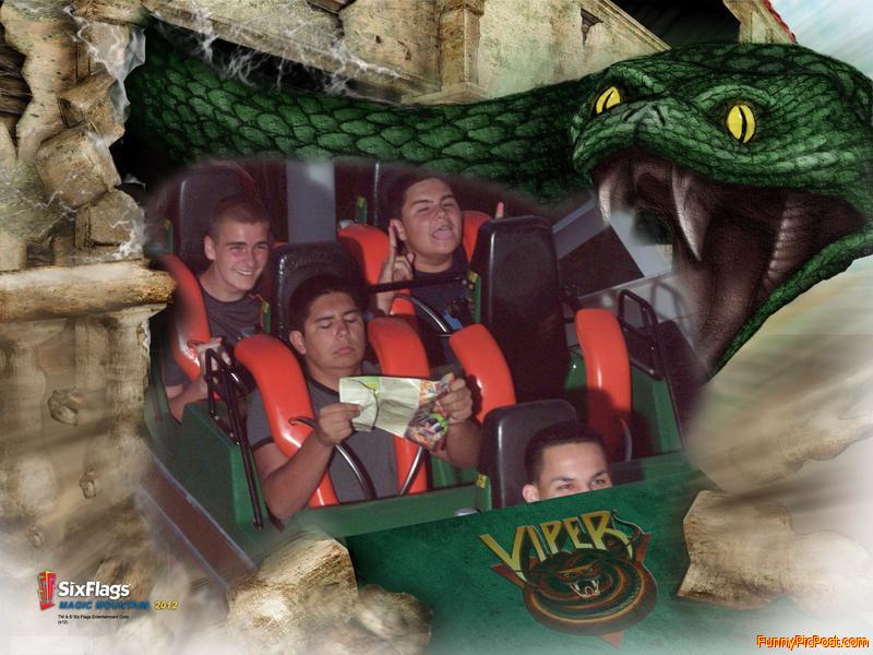 funny roller coaster picture