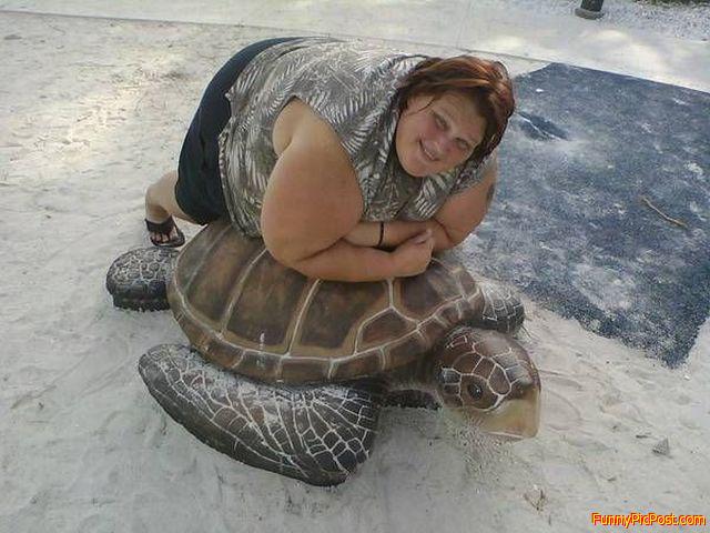 poor lady she tryin to mate with a turtle