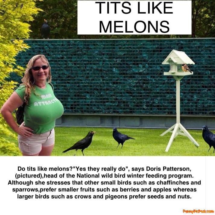 Tits like melons
