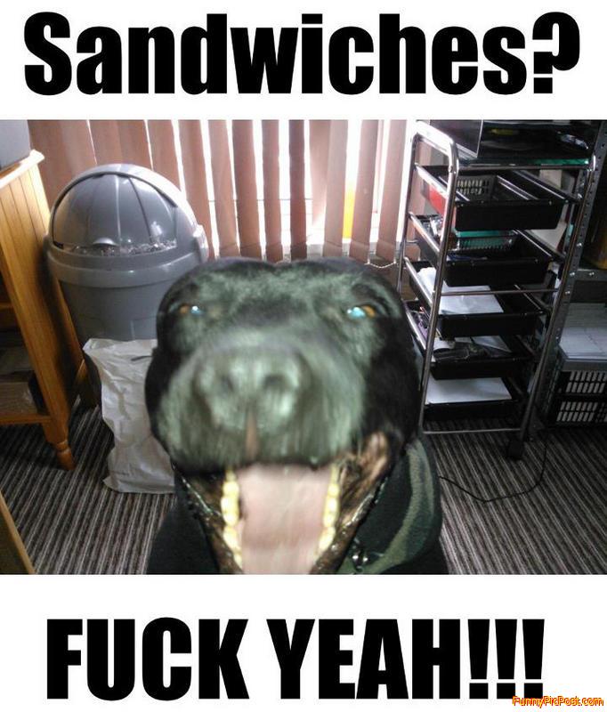 Sandwiches? FUCK YEAH!