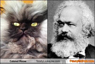 Karl  Marx  cat