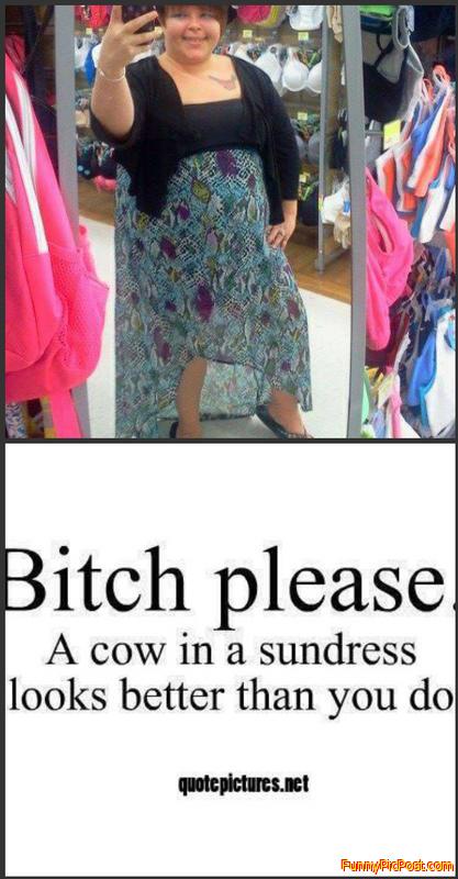 Cow in a sundress