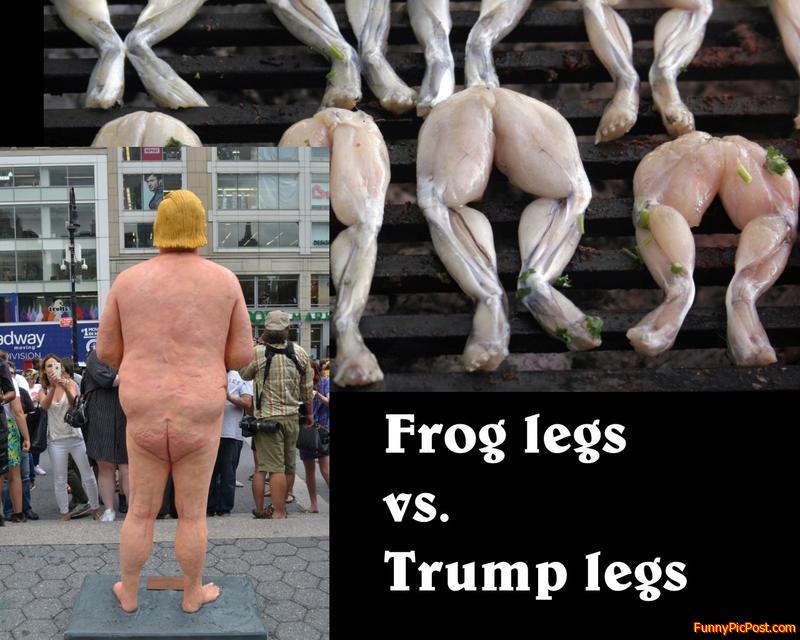 Frog+Trump=Frump
