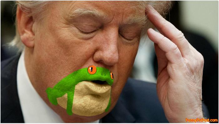 Frog Chin