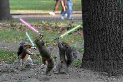 my nuts you touched young jedi