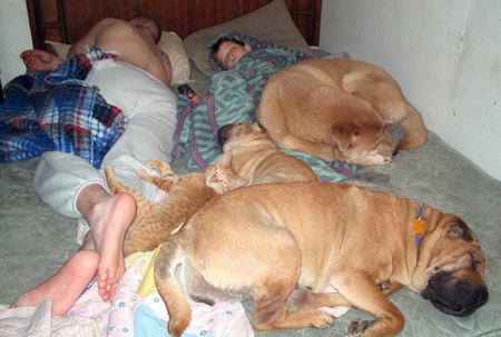 Orgy gone wrong