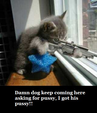 Mad Cat