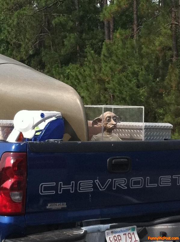 Funny Pic