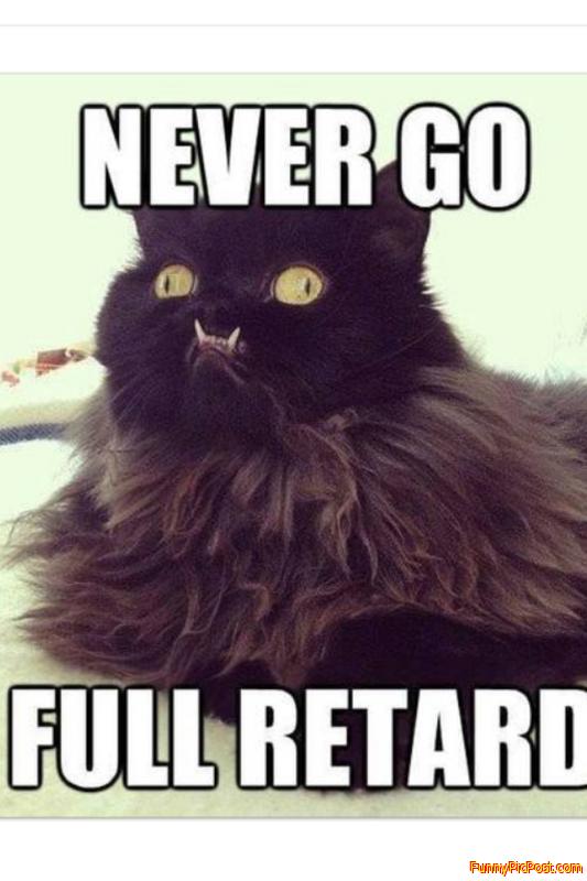 Funny Pic