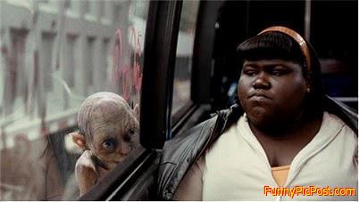 Stalking Precious