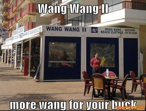 wang wang 2 - more wang for your buck