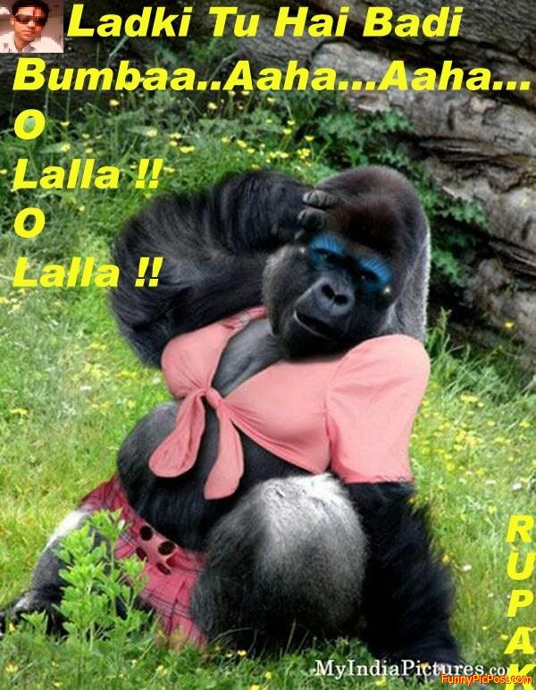 Funny Pic