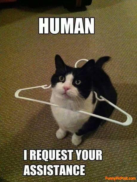 Funny Pic