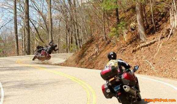 Funny Pic