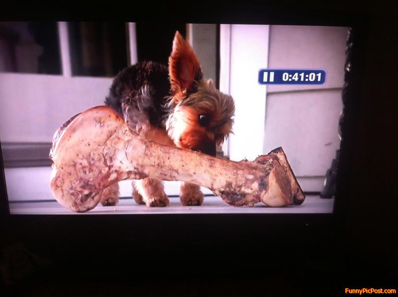 This is in an actual Subway commercial