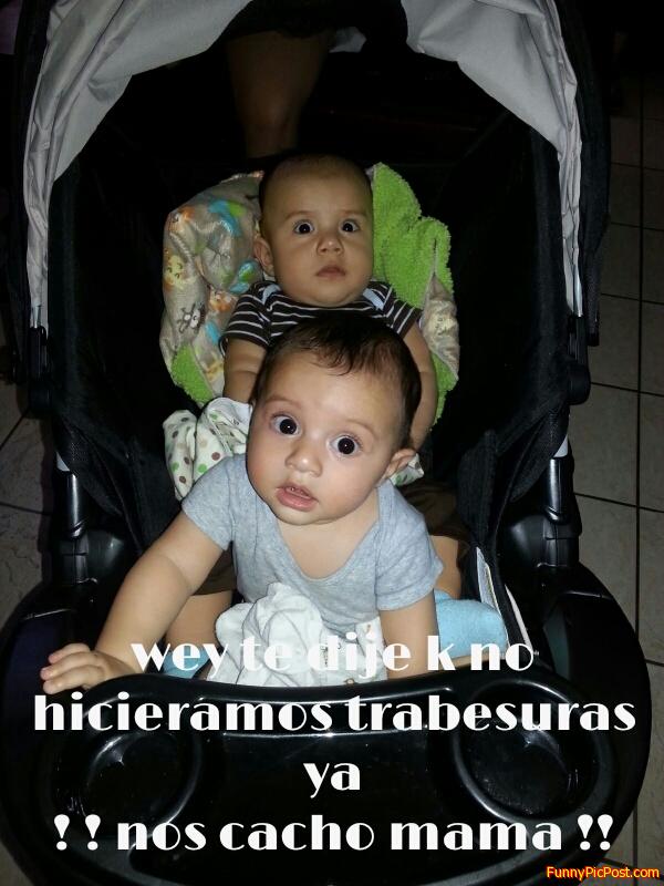 They got scare when taken a pic