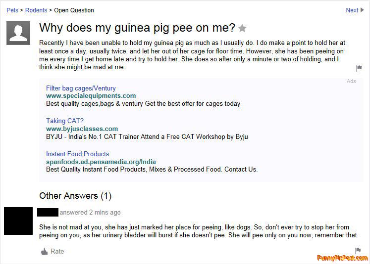 Funny Yahoo Answer