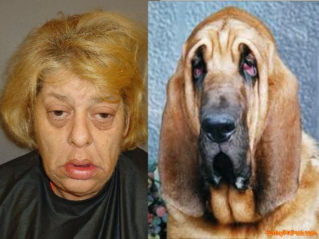 the hound hag