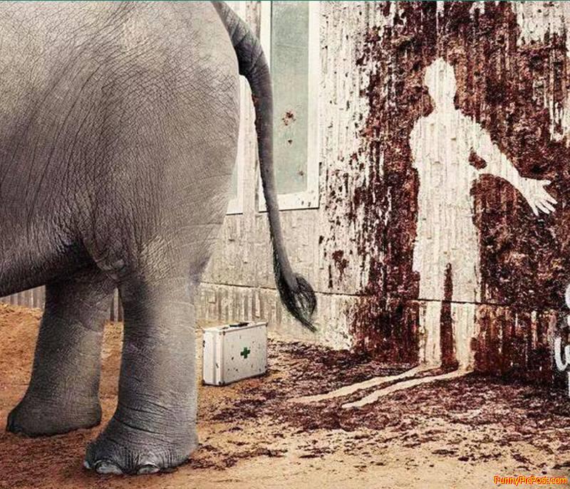 Funny Pic