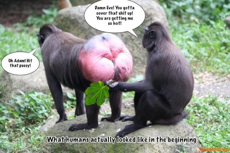 Funny Pic