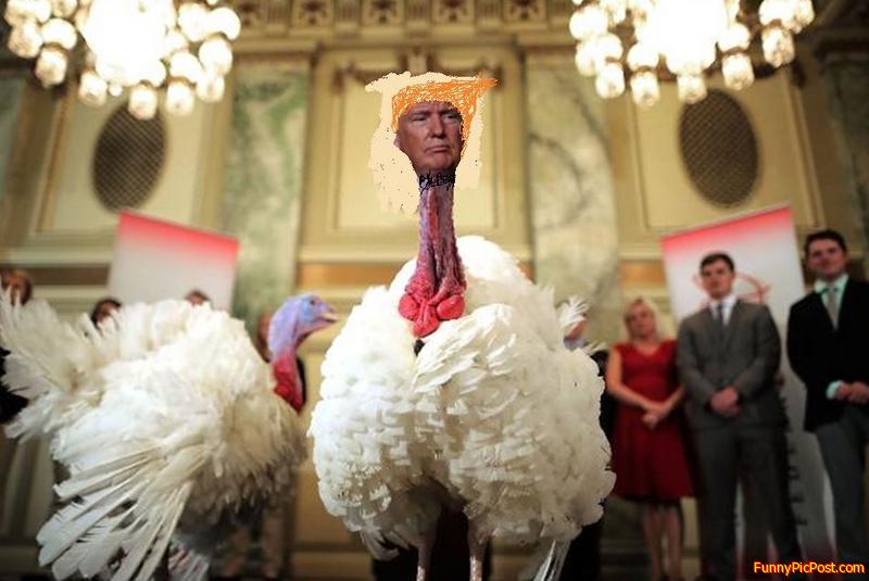 Mueller s turkey dinner - god bless